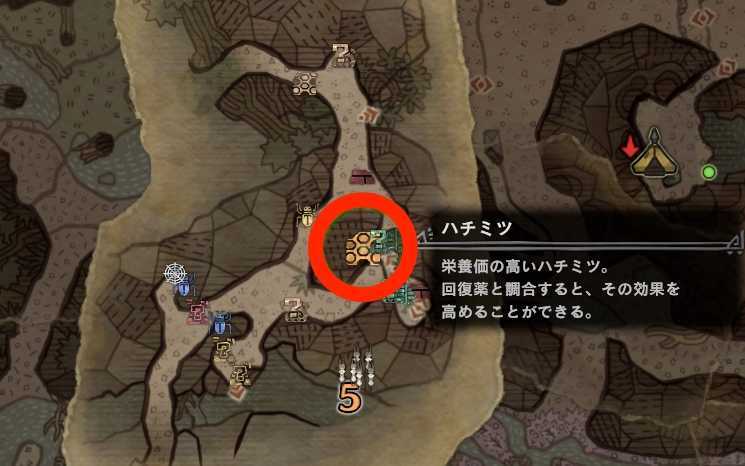 ブルーディーヴァの出現場所(大蟻塚)