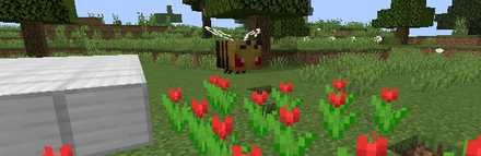 攻撃状態のハチ