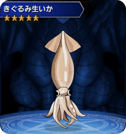 きぐるみ生いかの画像