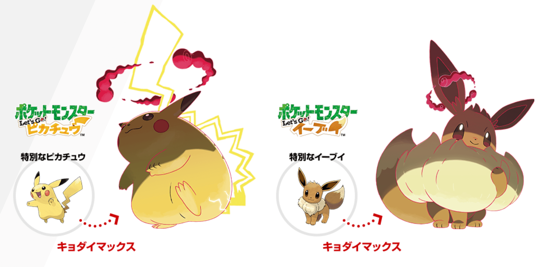 ポケモン剣盾 イーブイ 厳選