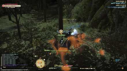 Ff14 守護天節 19 の攻略と交換アイテム一覧 ゲームエイト
