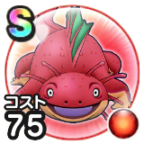 ベビーサラマンダ画像