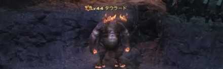 タウラードバナー