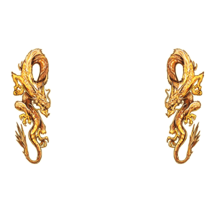 【伝】双龍［黄］