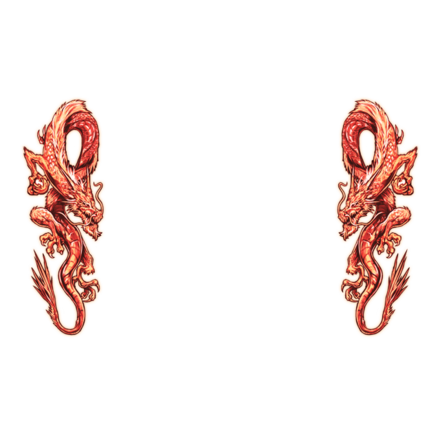 【伝】双龍［赤］