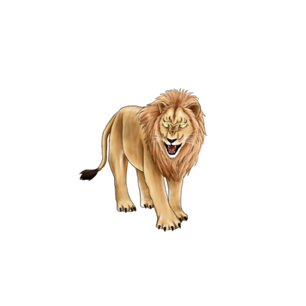 気高くて強靭、知能も高い百獣の王 ライオンさんの銀貨 ギャラリー：百獣の王ライオンの様々な表情 写真11点