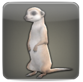 ミーアキャット