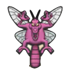 ドラゴンフライ画像