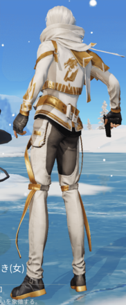 戦龍の輝き画像