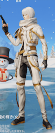 戦龍の輝き画像