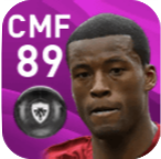 FPジョルジニオ・ワイナルドゥム(11/4)の画像