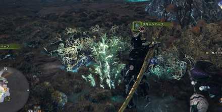モンスターハンターワールド：アイスボーン グリーンハーブ