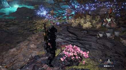 モンスターハンターワールド：アイスボーン レッドハーブ