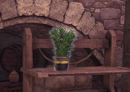 グリーンハーブの鉢