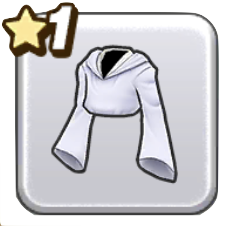 きぬのローブ上