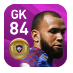 FPエヴェルソン(11/11)の画像