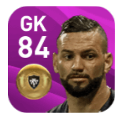 FPウェヴェルトン(11/11)の画像