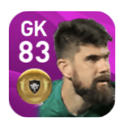 FPフェルナンド・ミゲル(11/11)の画像