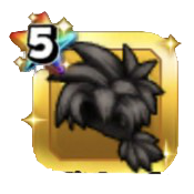 レックスヘアー・黒