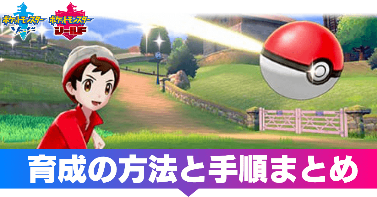 ポケモン 剣 盾 メタモン 育成 論