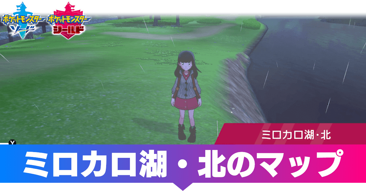 かみなりのいし ポケモン剣盾