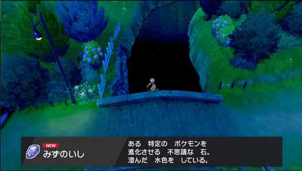 2020年の最高 ポケモン やみのいし 進化 15kベストピクチャー