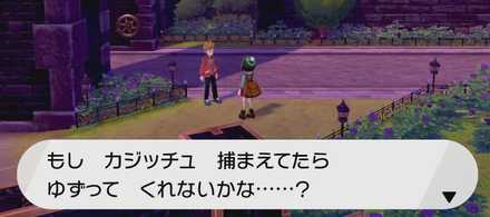 ポケモン剣盾 すっぱいりんごの入手方法と進化できるポケモン ソードシールド ゲームエイト