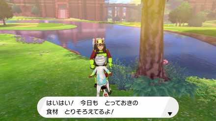 ポケモン剣盾 レトルトカレーの入手方法と作れるカレー ソードシールド ゲームエイト