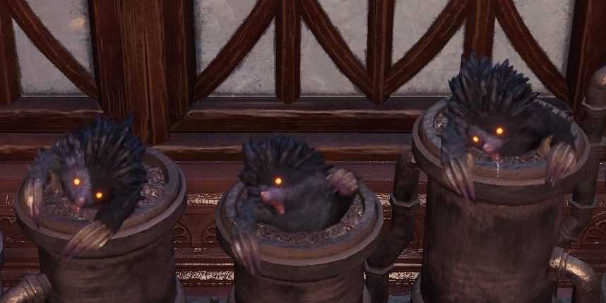 アイスボーン　ハリモギー