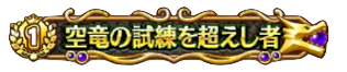 空竜の試練を超えし者