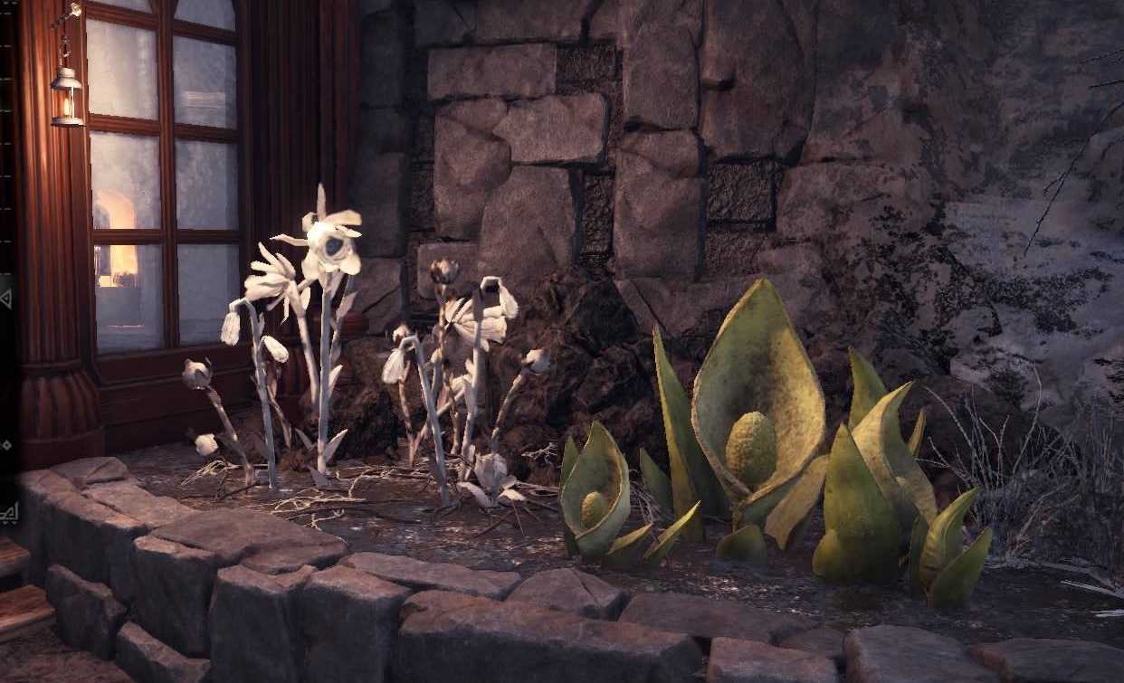 瘴気の谷の植物2