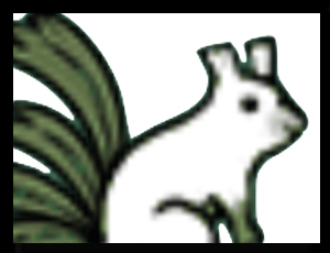 イングリッス画像