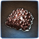 エラキオン甲殻の画像