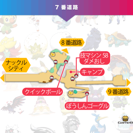 ポケモン剣盾 ぼうじんゴーグルの効果と入手方法 ソードシールド ゲームエイト