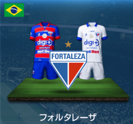 フォルタレーザ画像