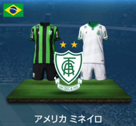 アメリカミネイロ画像