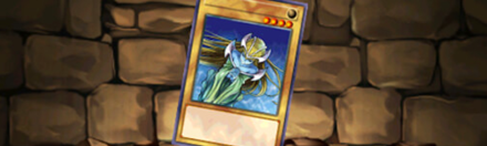 【5809】ホーリー・エルフのカード