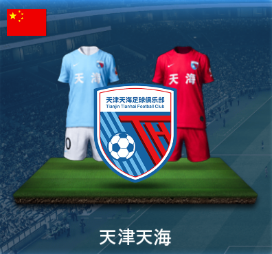 天津天海画像