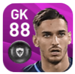 FPアレックス・メレット(12/30)の画像