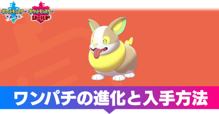 ポケモン コーギー