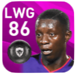 FPマックス・グラデル(1/9)の画像