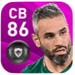 FPロイク・ペラン(1/9)の画像