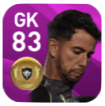 FPヘナン・ヒベイロ(1/13)の画像