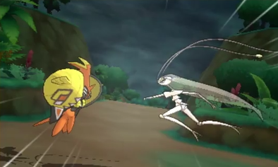 カプ・コケコと激突!