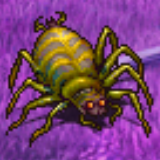 グルームウィドウ