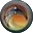 ブーメラン