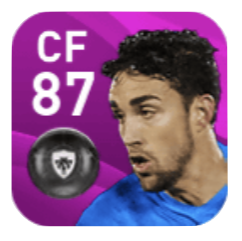 FPマタ(1/30)の画像