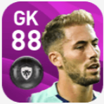 FPバンジャマン・ルコント(2/3)の画像