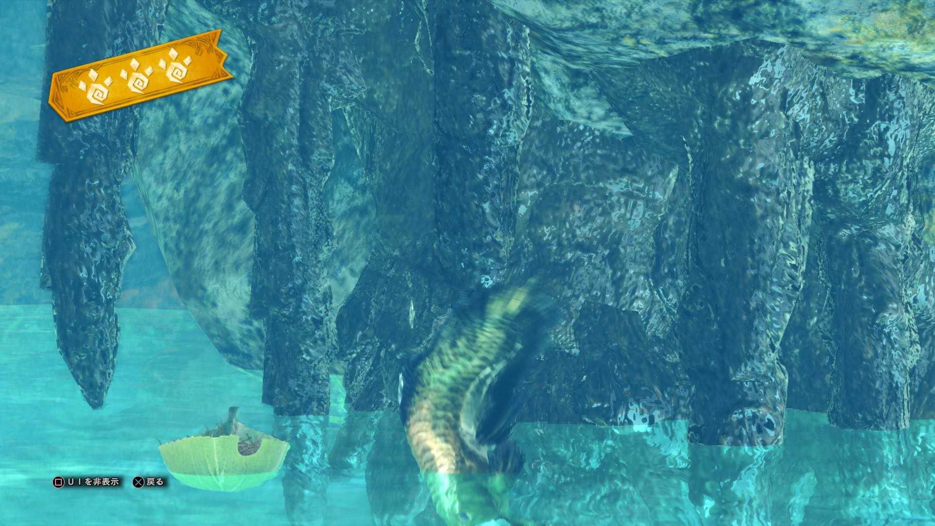 食うか食われるか