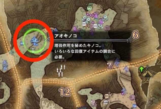 古代樹エリア6　アオキノコ